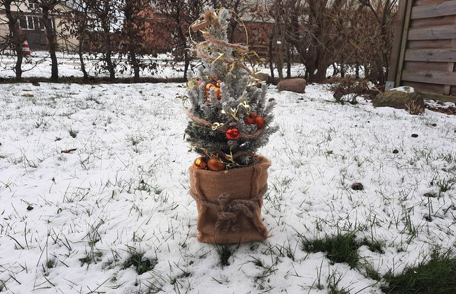 Ferienwohnung auf Insel Poel - Foto 11