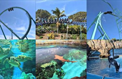 Entire Private Home with 4 Bedrooms 2 Bathrooms, Mountain Edge, New House, Ranch, Gated Yard, Available Now - Foto 58