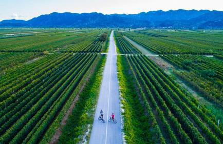 Apartment Ćulum - Foto 31