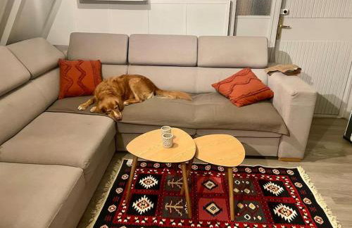 Kamińsko, Puszcza Zielonka, dom nad jeziorem - Foto 19