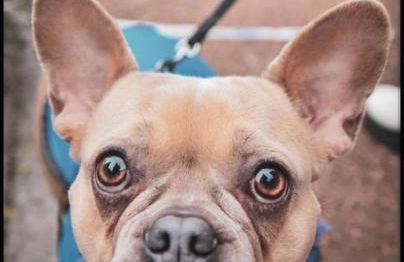 LA MAISON D'ULYSSE spa et détente - Foto 47