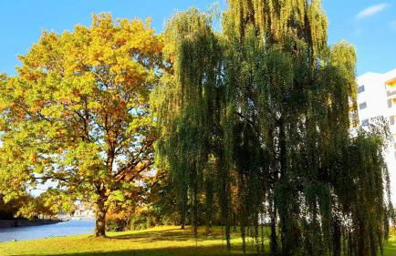 COAST HOUSE Dünenloft - Foto 20