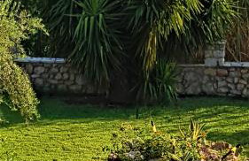 Manto Studios - Photo 60