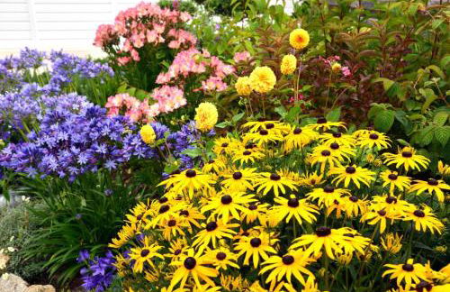 Triskell 56 - Foto 33