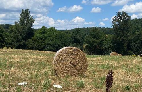 Il Casale delle Rose - Foto 59