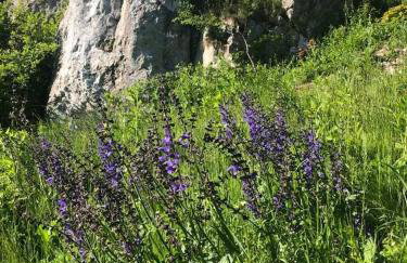 Leśna 6 - House with a garden - Foto 42