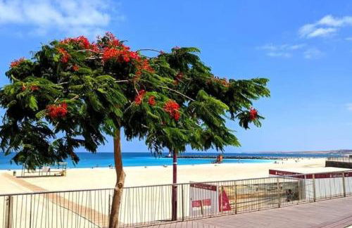 Spacieux Duplex Casa Maya Caleta de Fuste - Photo 72