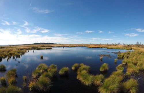Eife(e)l-Home Ferienwohnung Jakobs - Foto 20