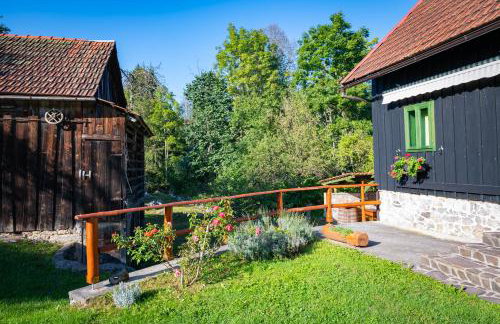 Šajnska Hiža, autentična goranska kuća u prirodi - Foto 26