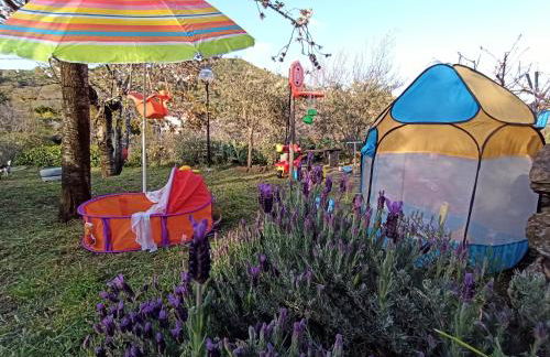 La terra dei ciliegi tra l'Etna e il mare di Taormina - Foto 28