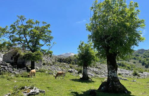 Mar y Montaña - Foto 32