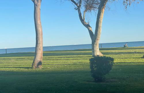 Apartamento a estrenar en primera línea de playa en Magic World Marina Dor - Photo 32