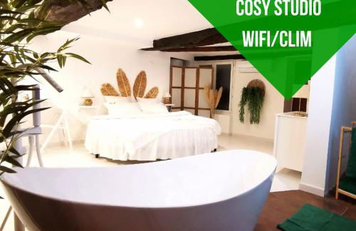 Studio équipé avec Lit rond / baignoire ilot / Table massage Aux Arcs - Foto 1