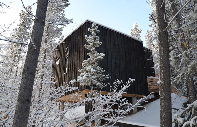 Yukon Black Spruce - Foto 1