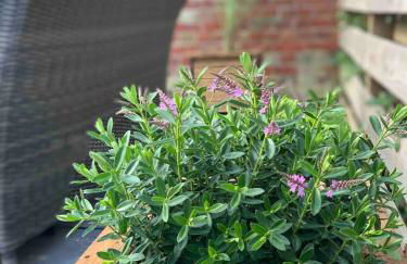 Fort View- Totland - Photo 36