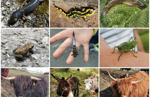 Fewo-BergSeeOase - Foto 45