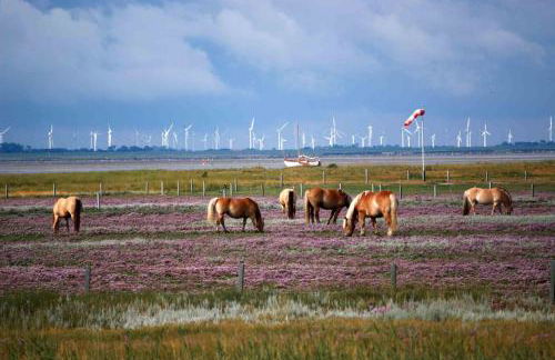 Hellerblick - Foto 10