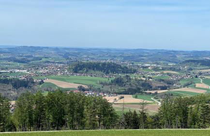 Berg-Panorama-Ferienwohnungen Gut-Lichtenau - Foto 63