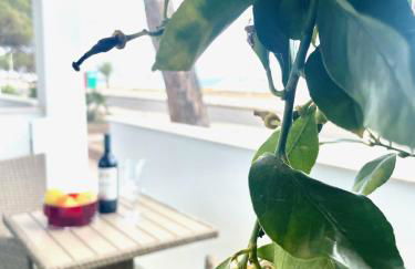 Windsurf Beach Front - Photo 46