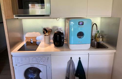 La marmotte: Vue Mont Blanc, terrasse, parking - Foto 9