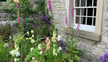 Chantry Cottage Holiday Cottage Ashford in the water - Foto 3, Garden view