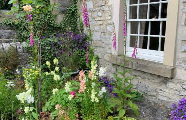 Chantry Cottage Holiday Cottage Ashford in the water - Foto 3