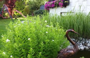 Haus Seeliger im Fichtelgebirge - Foto 13