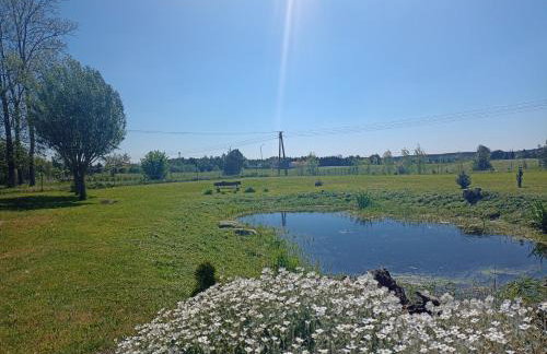 DOM w JESIONACH Brajniki - działka 1 HEKTAR - Photo 15