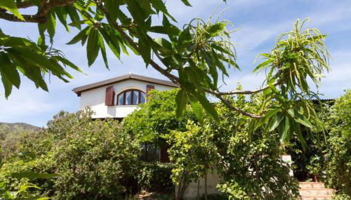 Abba Arrubia - Foto 5, Garden view