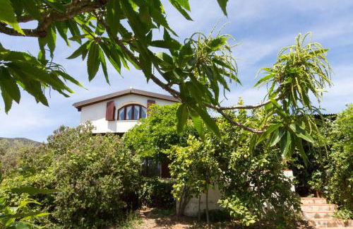 Abba Arrubia - Foto 5