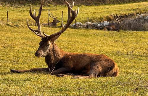 Casa del cuore - Foto 4