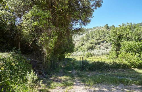 Cortijo el Soto - Foto 35