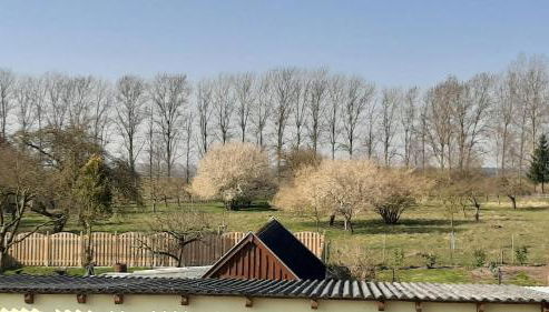 Ferienwohnung im Zanderhaus - Foto 2, Garden view