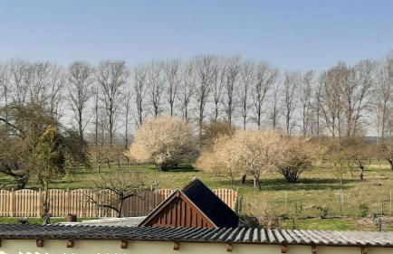 Ferienwohnung im Zanderhaus - Foto 2