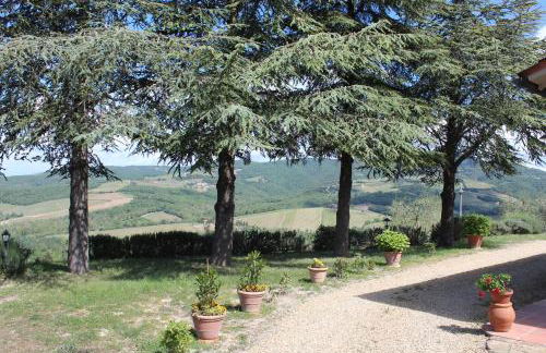 Tenuta il Poggetto - Foto 61