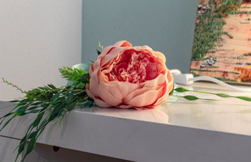 Magnolia casa di campagna Costa dei Trabocchi - Foto 8