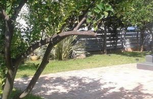 Villa Titi - Foto 56