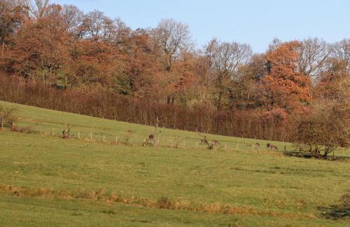 Hill Brook Barn - Foto 41