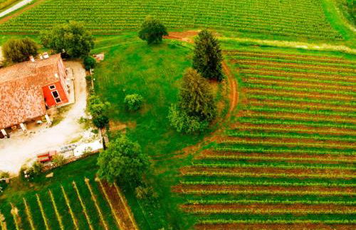 MASARI ALLA CASA ROSSA Vineyard guest house - Foto 16