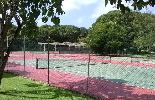 Rockley Orange Hill - by Zenbreak - Photo 14