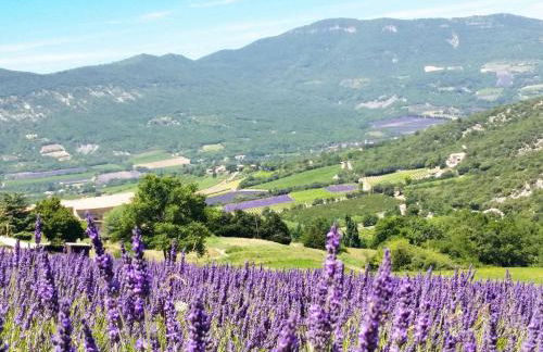 Holiday Home Le Cèdre by Interhome - Photo 35