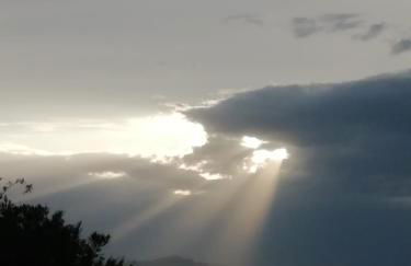 Gure ametsa - Foto 20