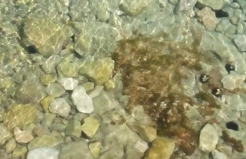 Apartment Peris - Foto 65