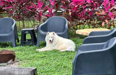 Cabana Tekoha - Photo 9