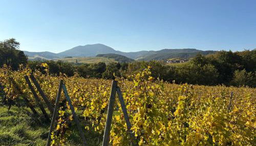 Gîte des Potiers - Foto 3