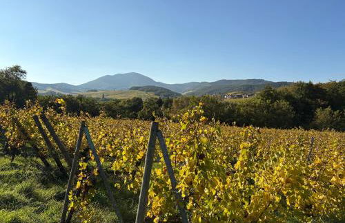 Gîte des Potiers - Foto 3