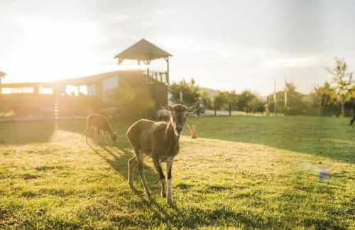 Hof Köhne - Kastanienhaus - Foto 34