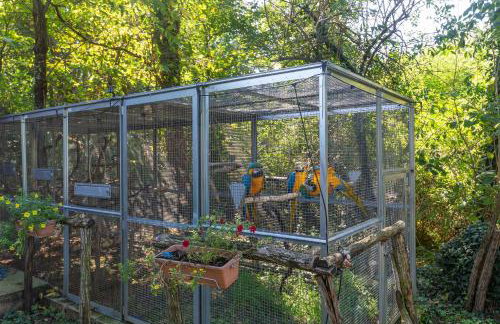 House Cetiri Hrasta - Foto 28