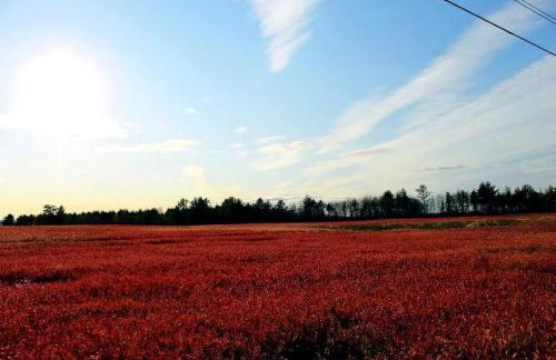 Charming Dog-Friendly Beach House with Fire Pit & Jetted Tub Near Carters Beach in Hancock, Maine - Foto 28