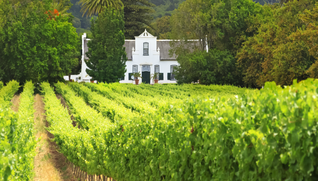 Servicios privados de chofer en Ciudad del Cabo durante todo el día - Foto 3